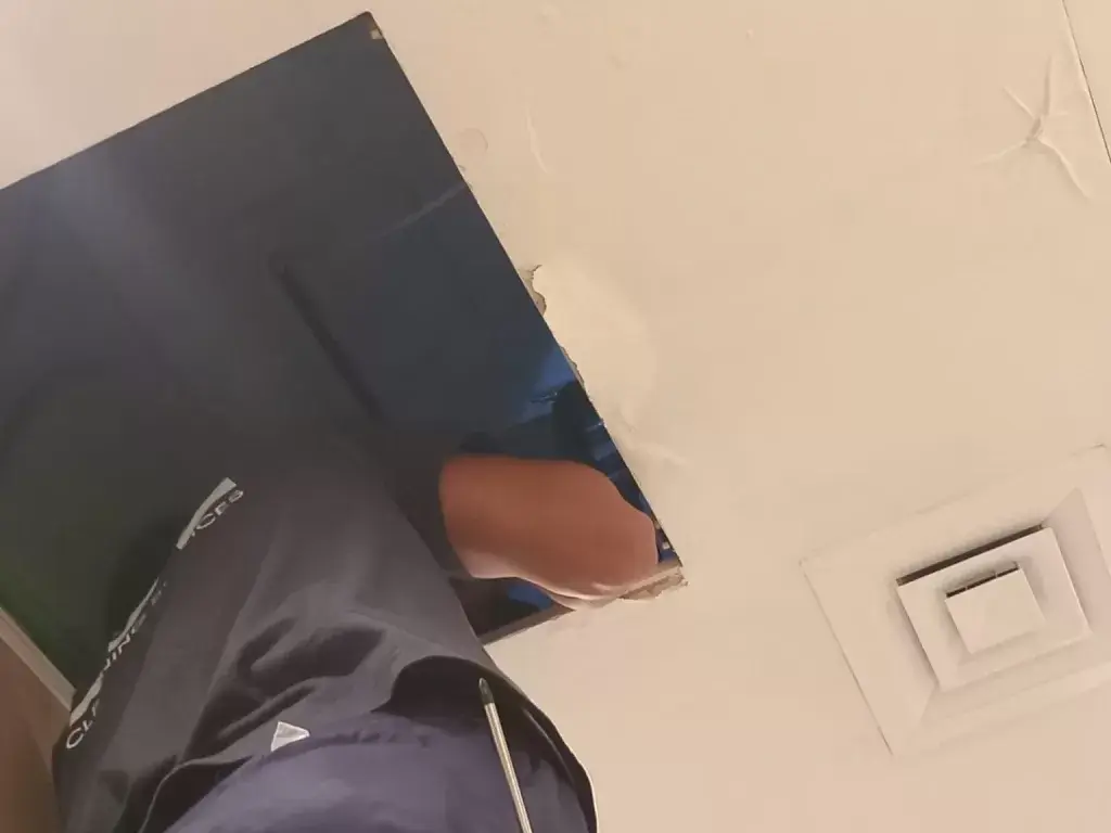 inspection and diagnosis