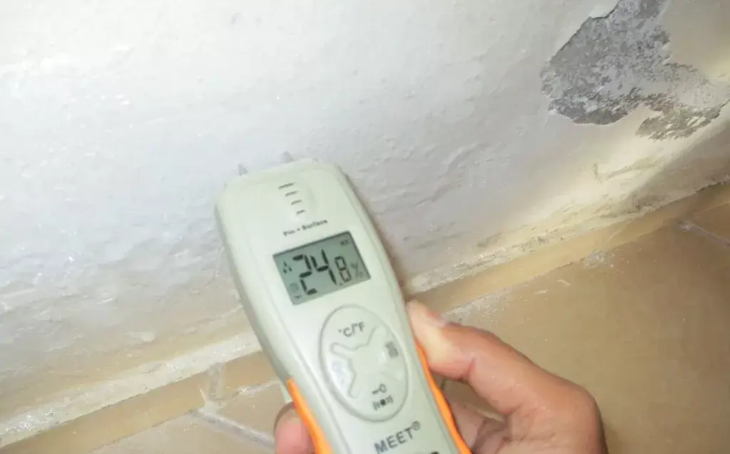 mold remediation Inspection