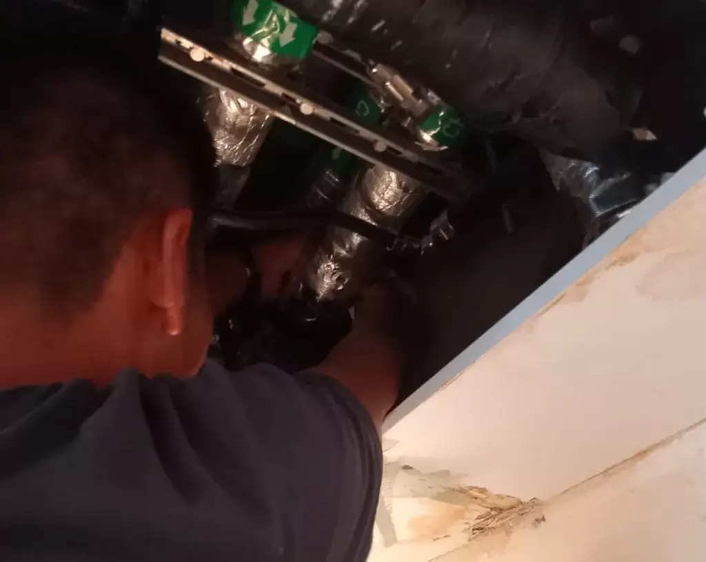 Mold Removal and Remediation