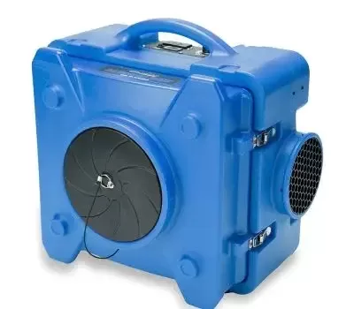 Mold removal and remediation